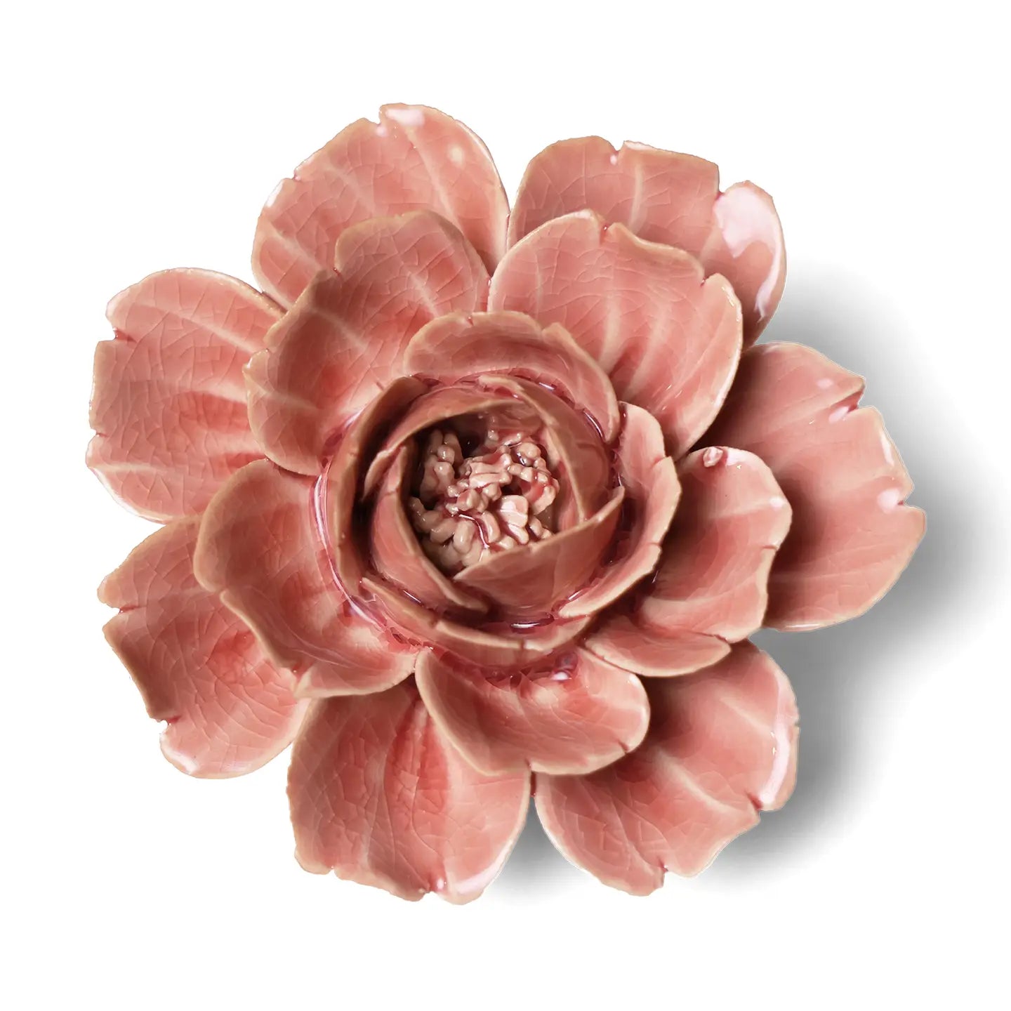 Champagne Pink Rose