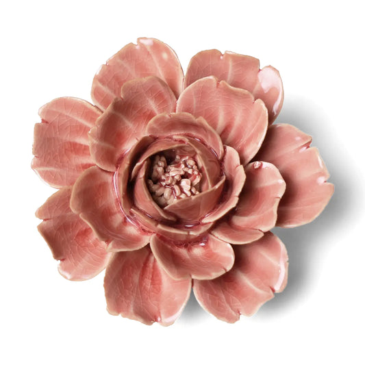 Champagne Pink Rose