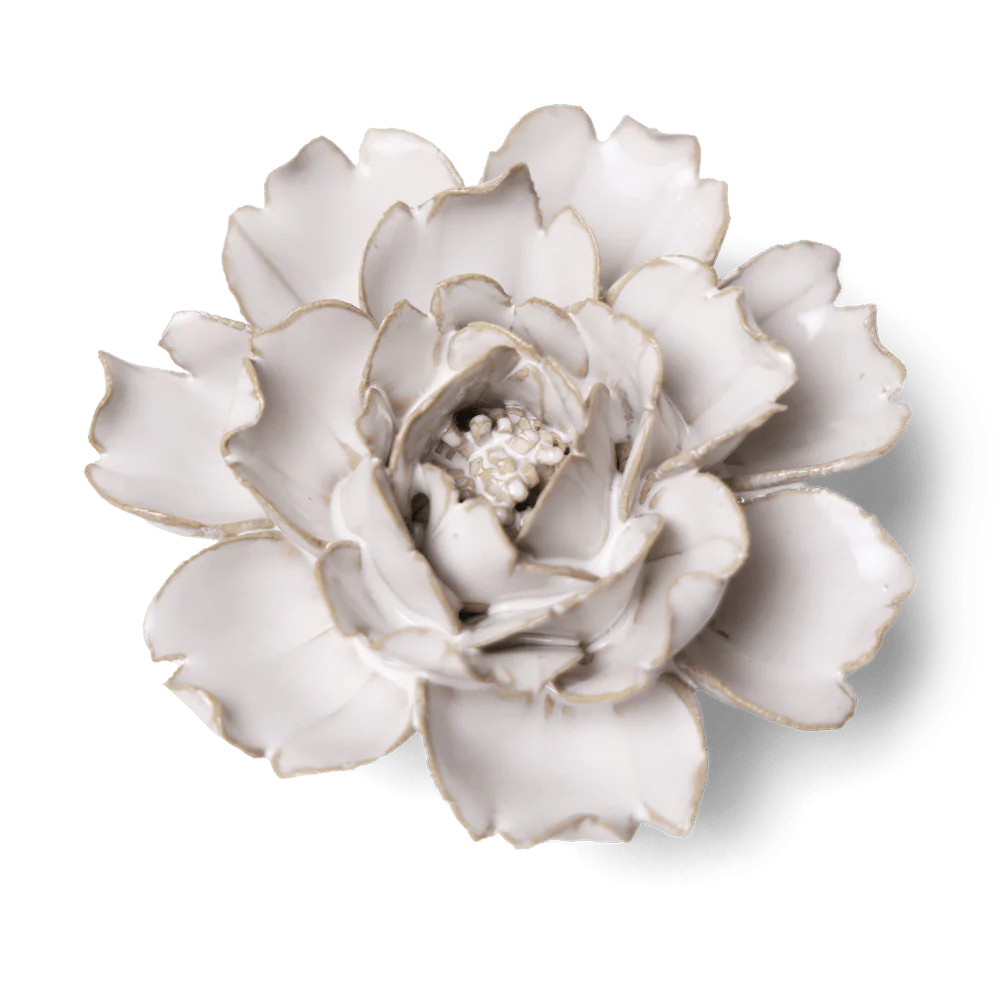 Ceramic White Ivory Rose