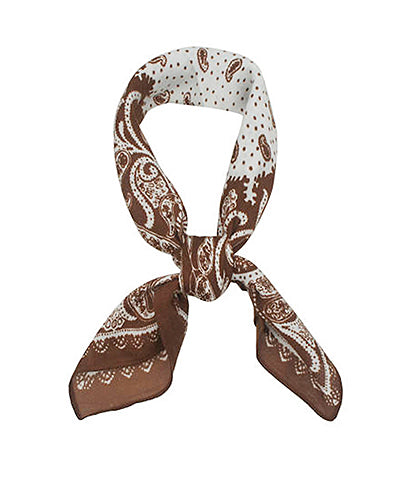 Paisley Scarf