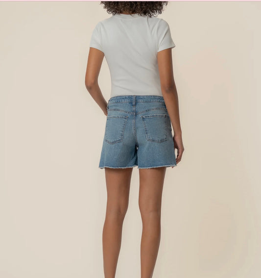 Jane Long High Rise Short |Whistle Wash|