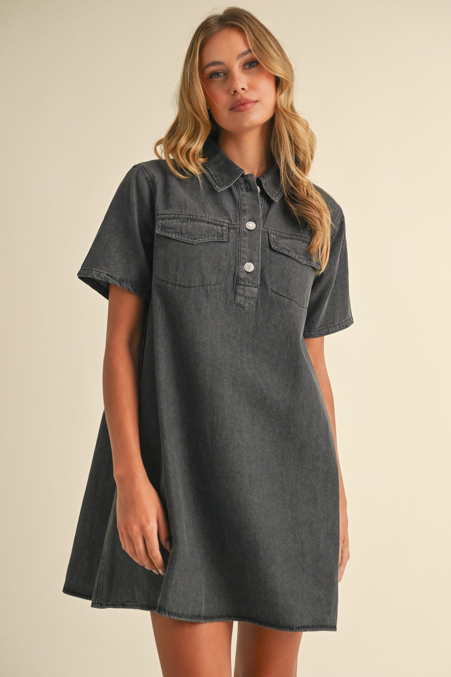 Paton Denim Dress