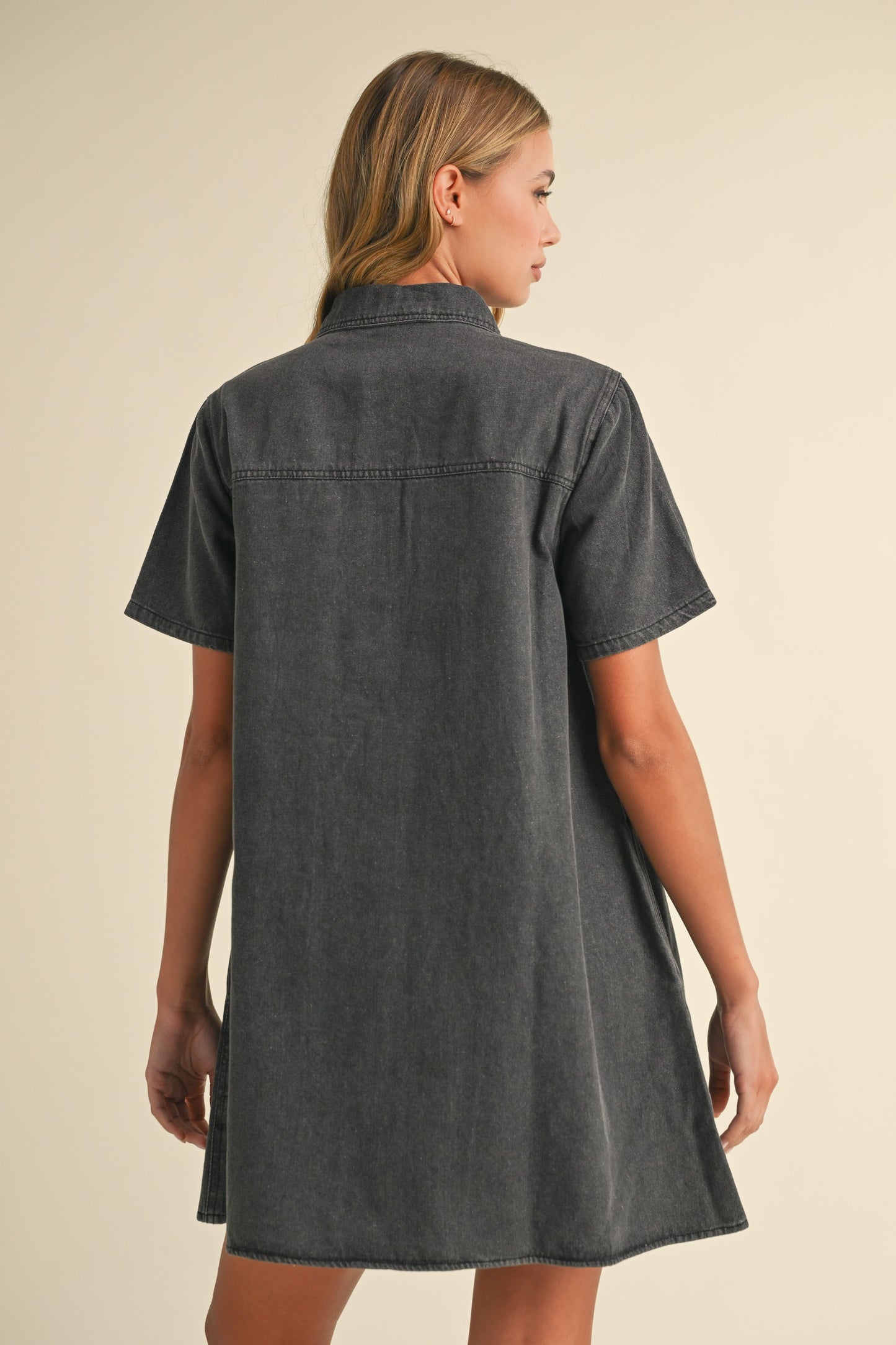 Paton Denim Dress