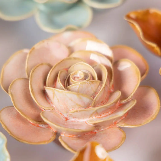 Peach Pink Ranunculus