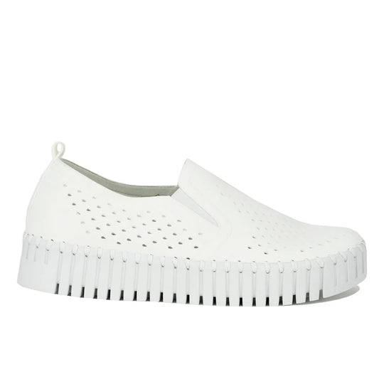 Tulip Platform |White|