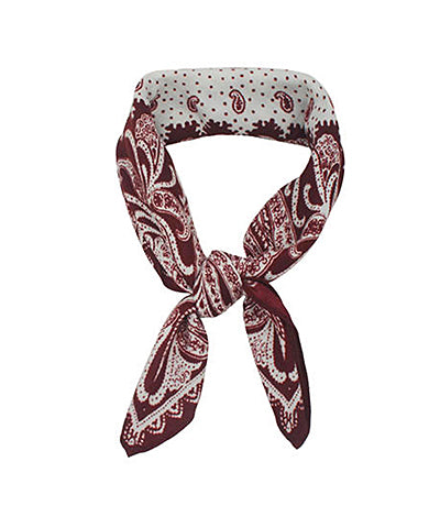 Paisley Scarf