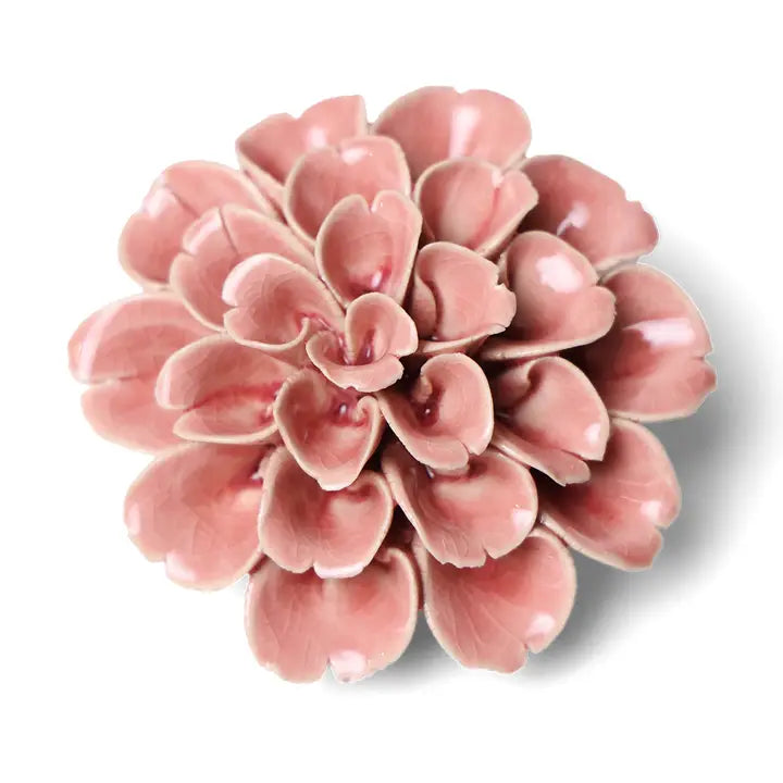 Champagne Pink Hydrangea