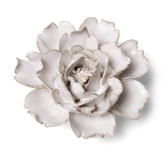 Ceramic White Ivory Rose