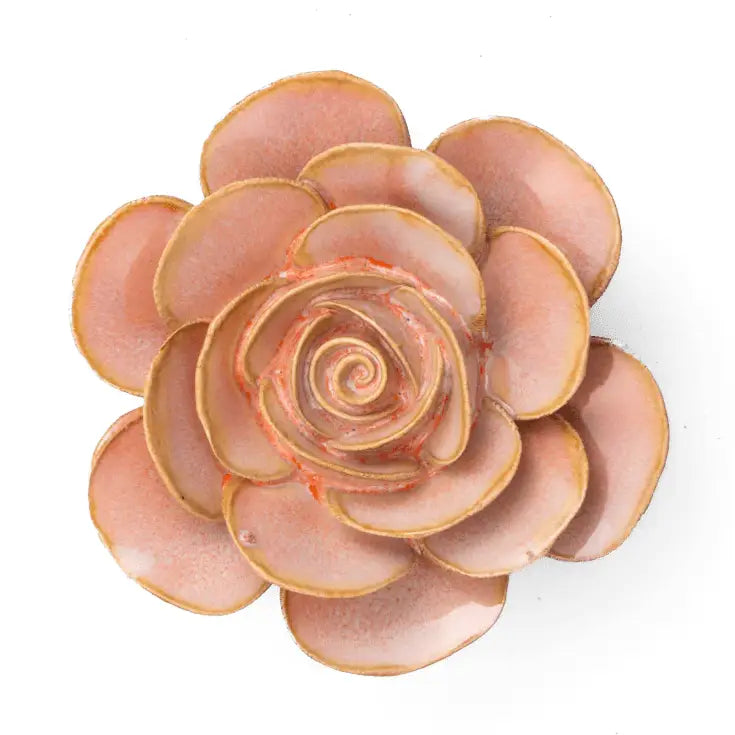 Peach Pink Ranunculus