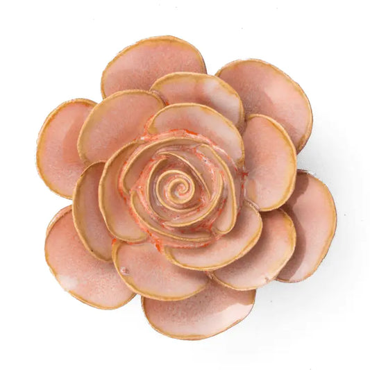 Peach Pink Ranunculus