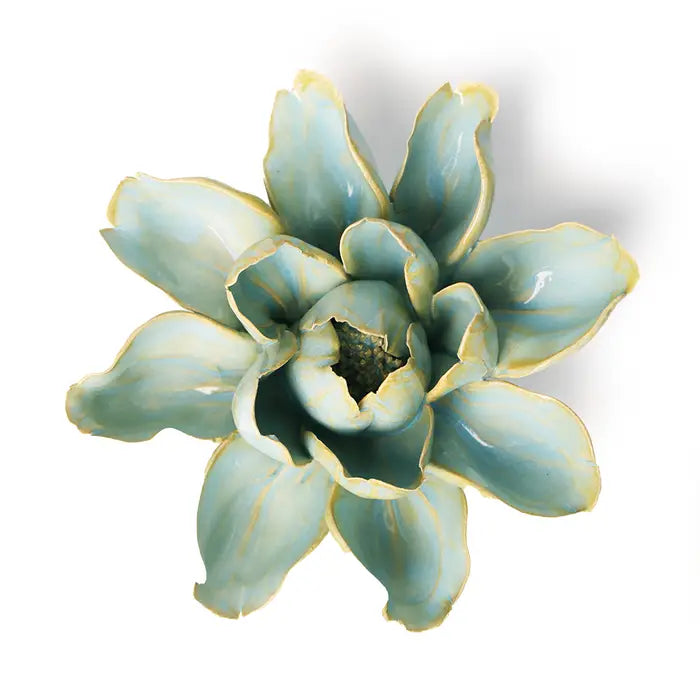 Robin Egg's Blue Lily