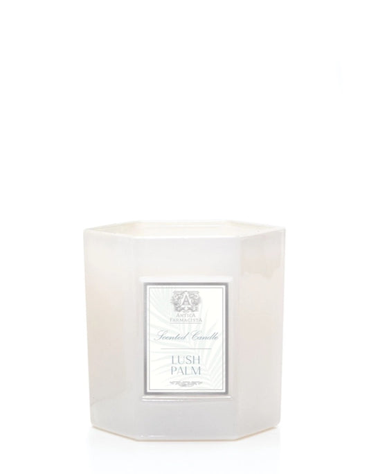 Lush Palm Candle